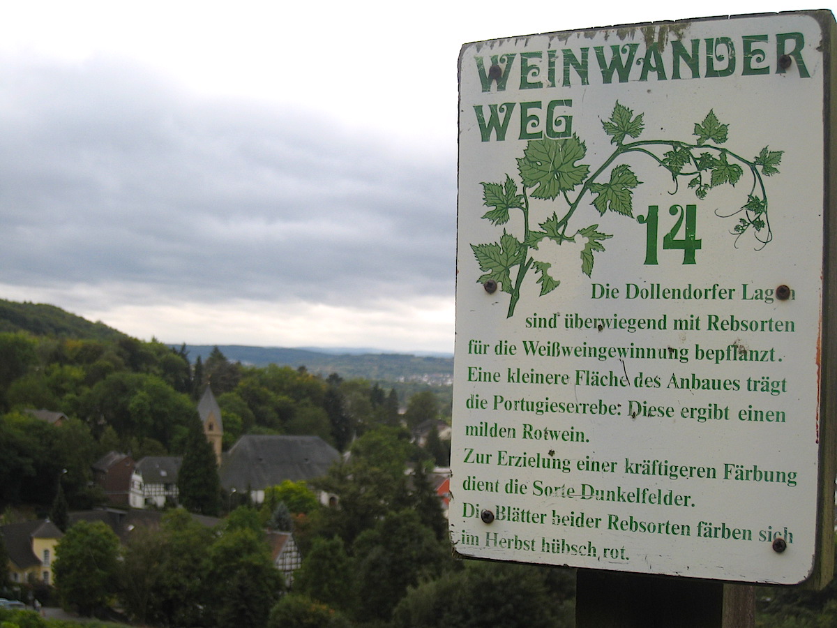 Weinwandern und Weingenuss im Siebengebirge - der Weinwanderweg ist informativ