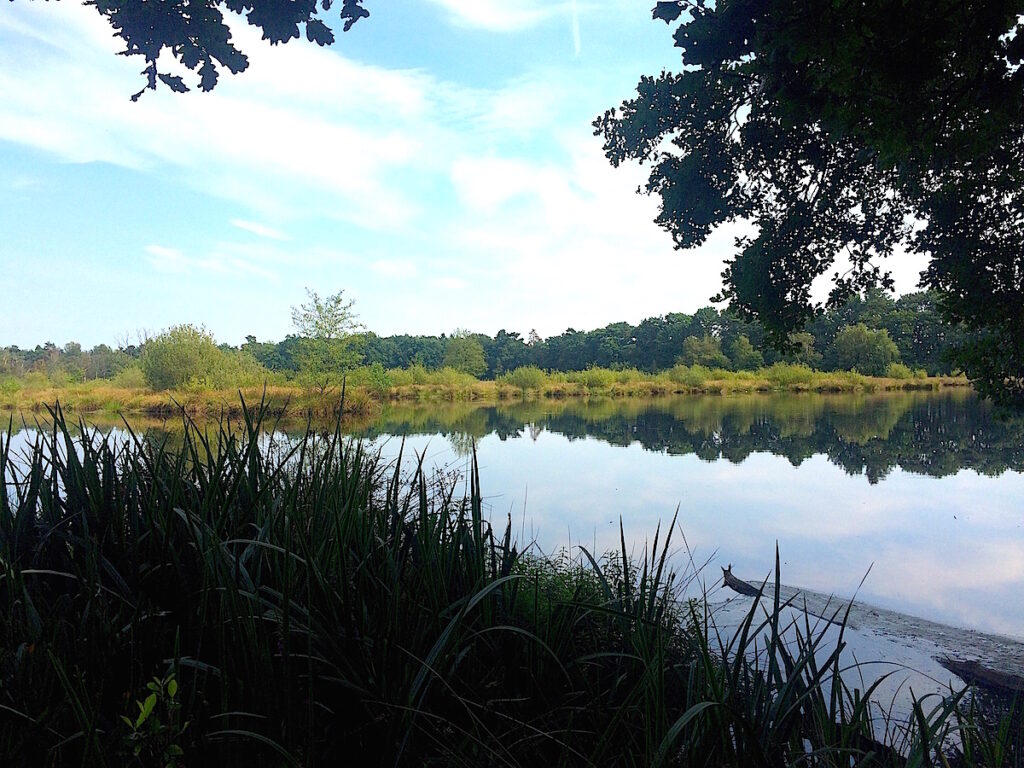 Das romantische Witte im Münsterland ist ein Wander- und Naturparadies