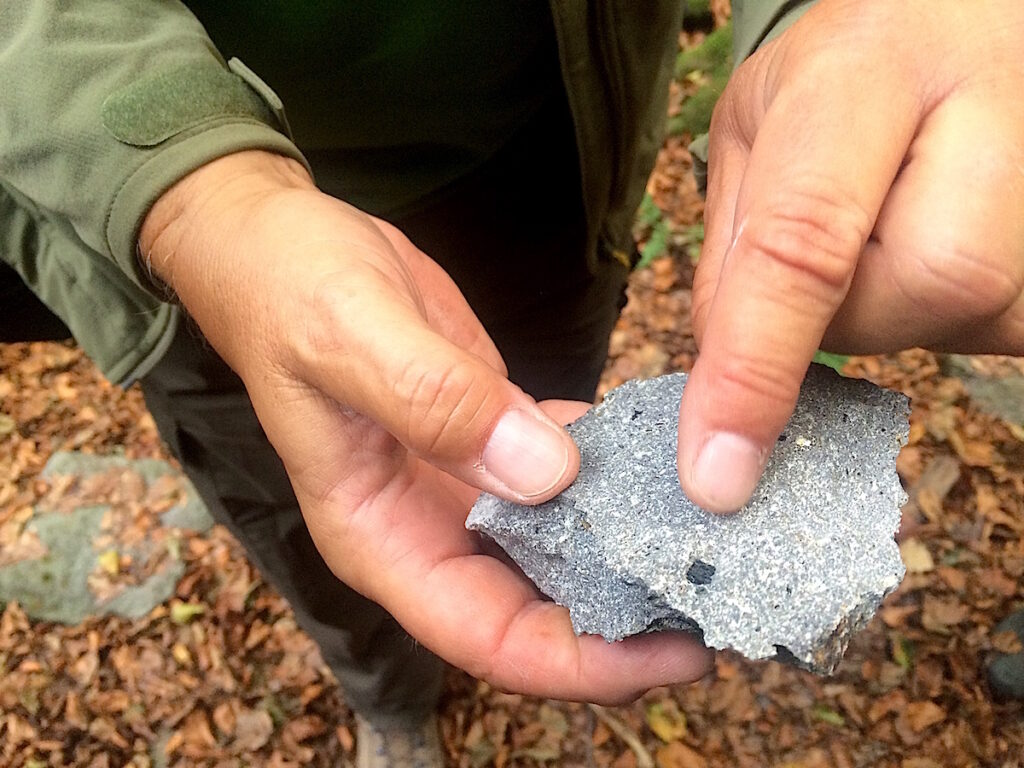 Anhand von Steinen erklärt der Geologe Sven von Loga die vulkanische Vergangenheit des Siebengebirges