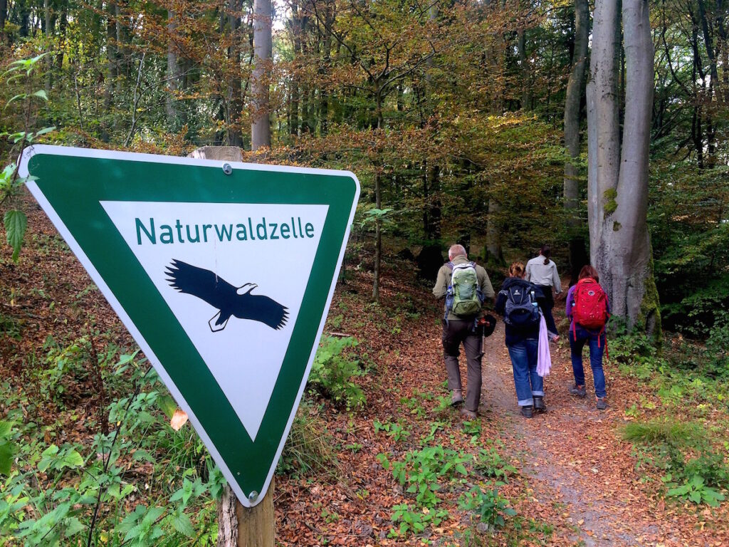 Weiche, federnde Wege sind typisch für die NRW-Etappen