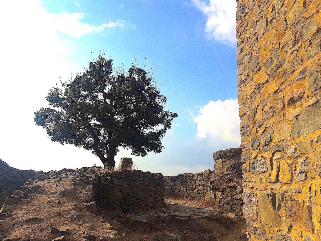 Ruine auf dem Rheinsteig 