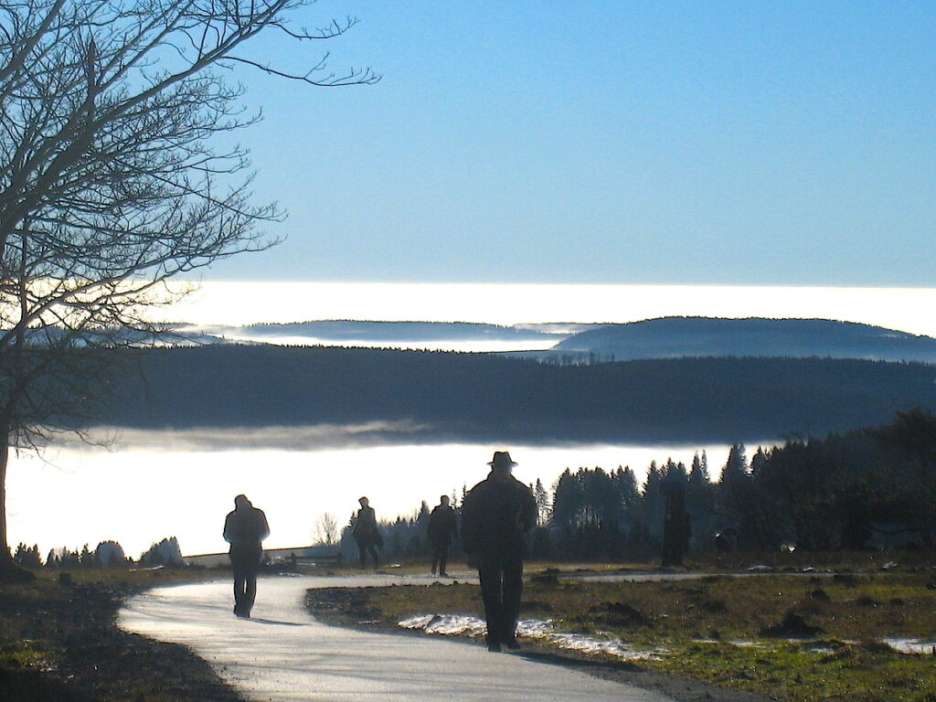 Der Grenzweg am Kahlen Asten an einem mystischen Wintertag