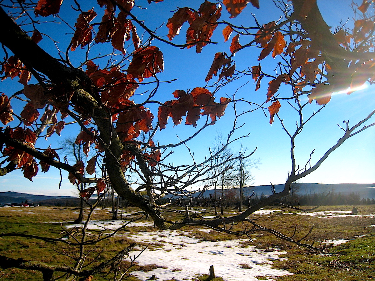 Naturerlebnis Hochsauerland