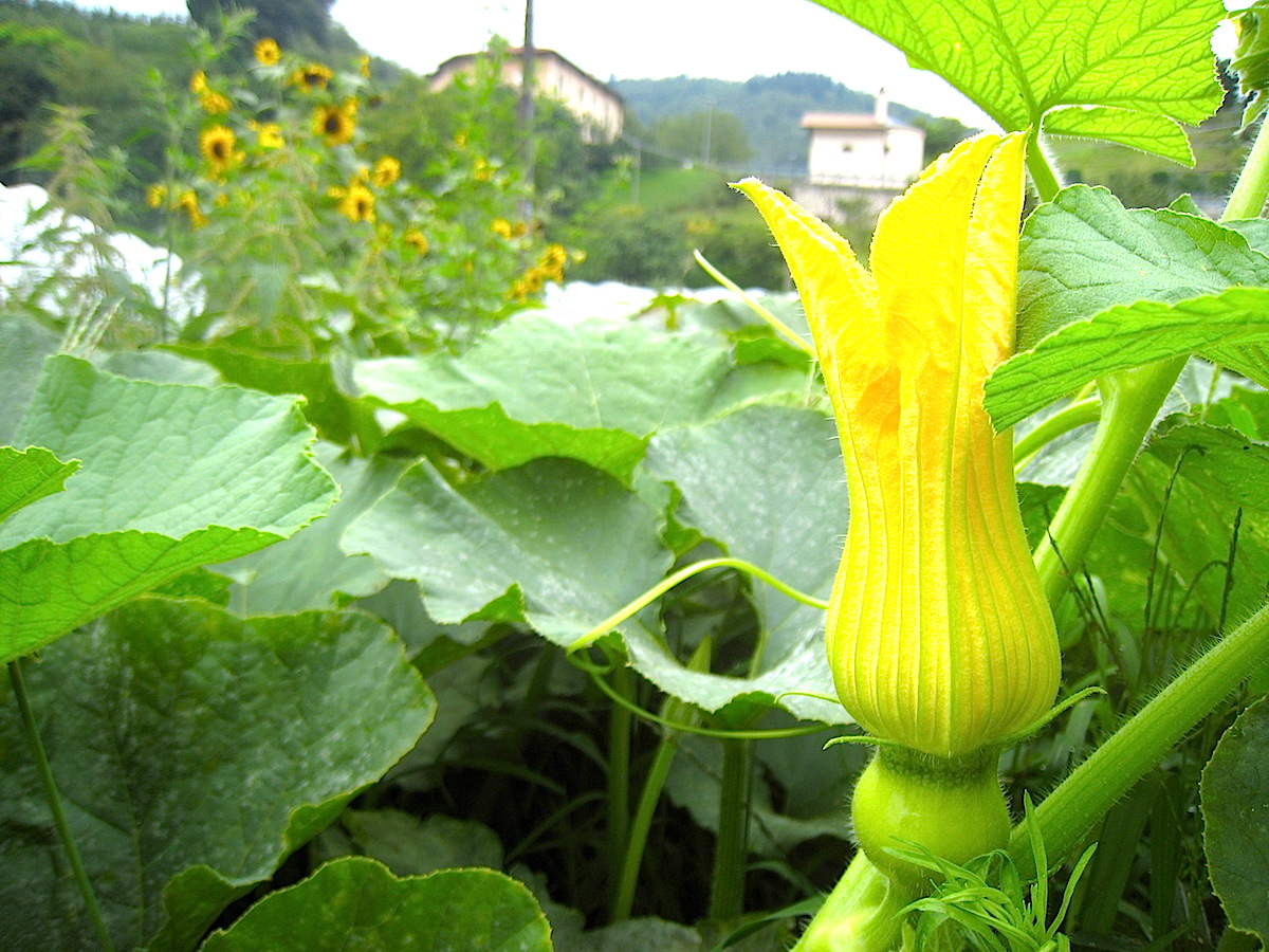 Drena im Hinterland des Gardasees