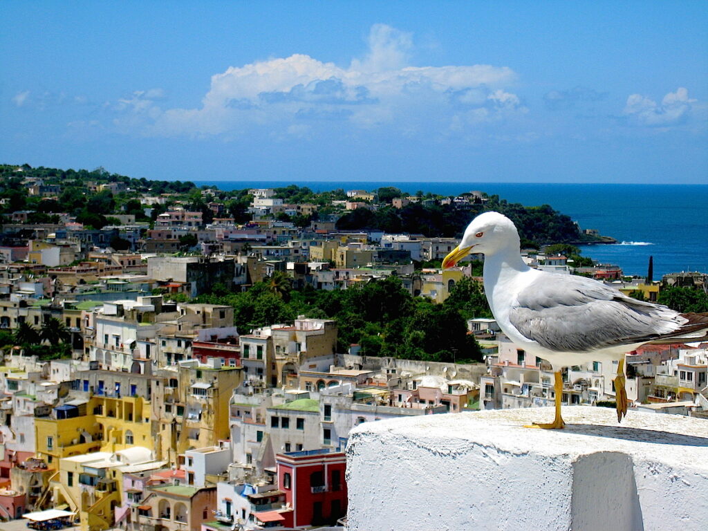 Die Insel Procida im Golf von Neapel zählt zu den Geheimtipps in Italien.