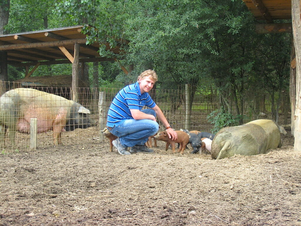 Geheimtipps Landlust in Österreich - die Sonennschweine der Steiermark leben unter freiem Himmel