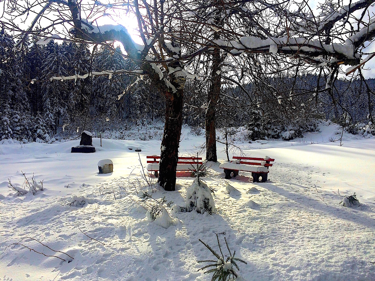 Wanderpause im Nationalpark Schwarzwald