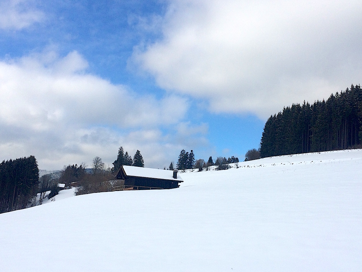 Winterwunderwelt im Nationalpark Schwarzwald