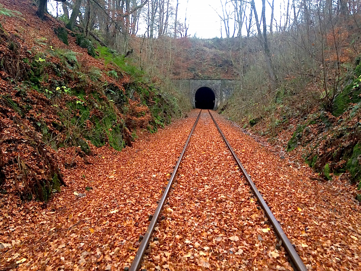 Die Draisinenfahrt im Sauerland führt durch dunkle Tunnel. 