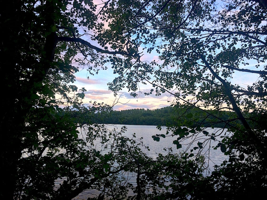 Fledermaus-Führungen am Neffelsee in Zülpich