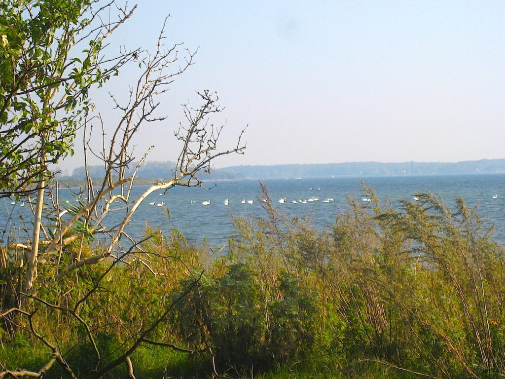 Naturraum Ostsee - auf der dänischen Insel Lolland besonders schön.