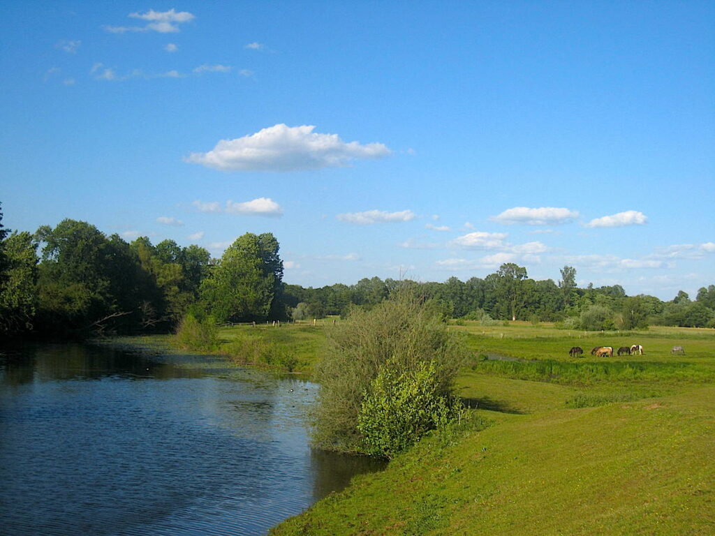 Natur pur auf dem EmsRadweg im Münsterland