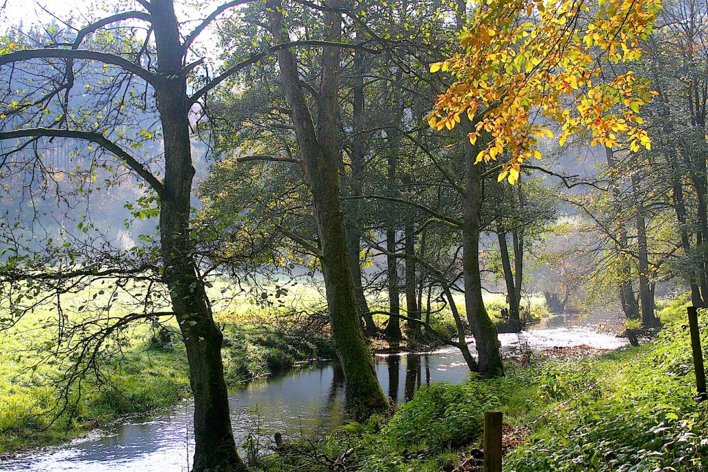 Lieserpfad Ein Eifel Wanderweg In Flusslandschaft Weltenkundler