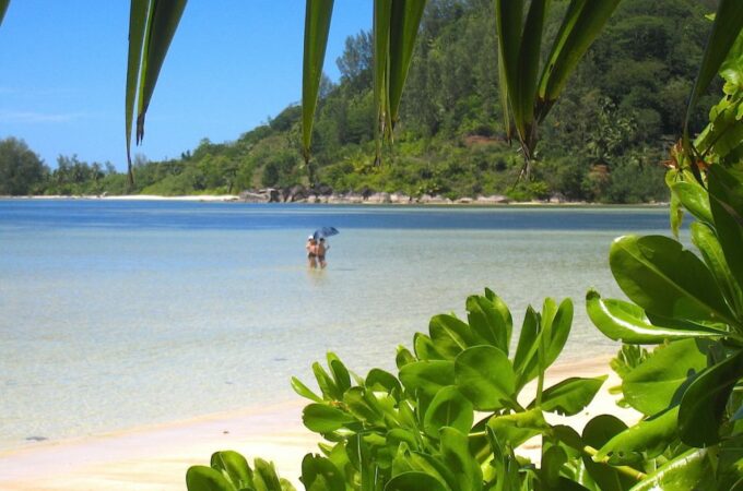 Seychellen - Traumziele zu Traumpreisen?