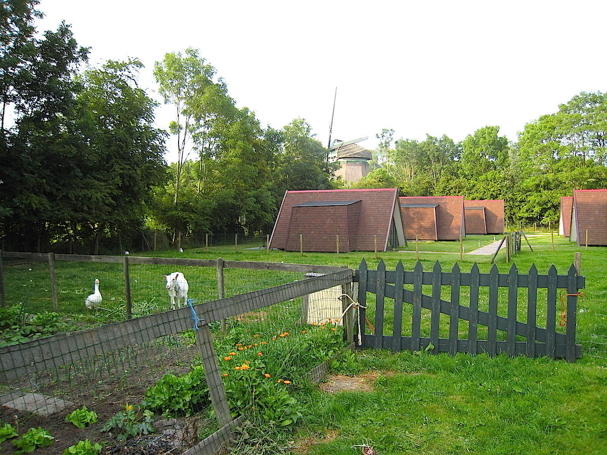 Schon mal Glamping in Holland ausprobiert?