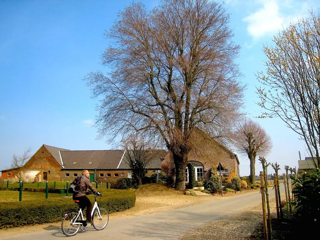 Römer Lippe Route Bislicher Insel mit Radfahrer