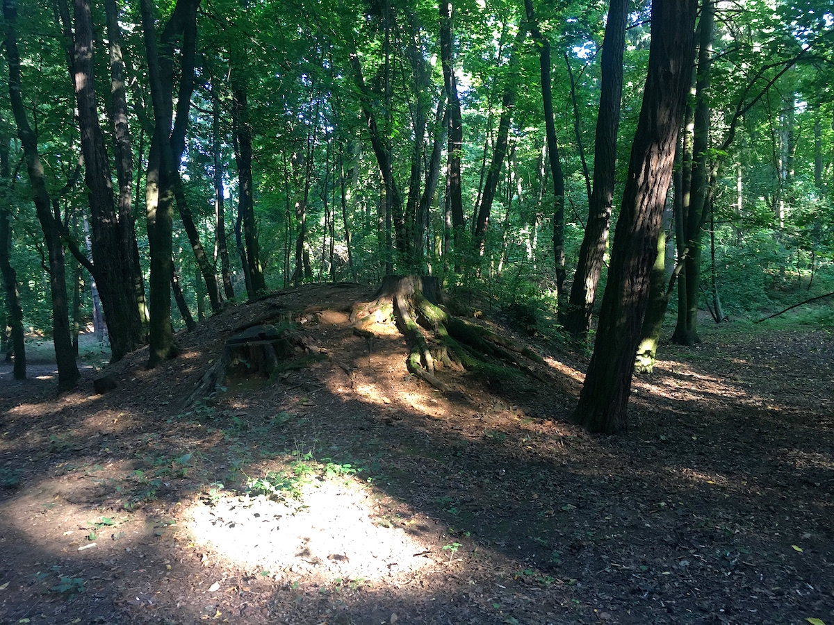 Der städtische Park