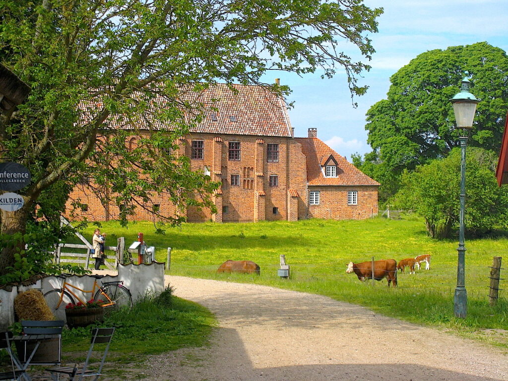 Das Zisterzienserkloster von Esrum