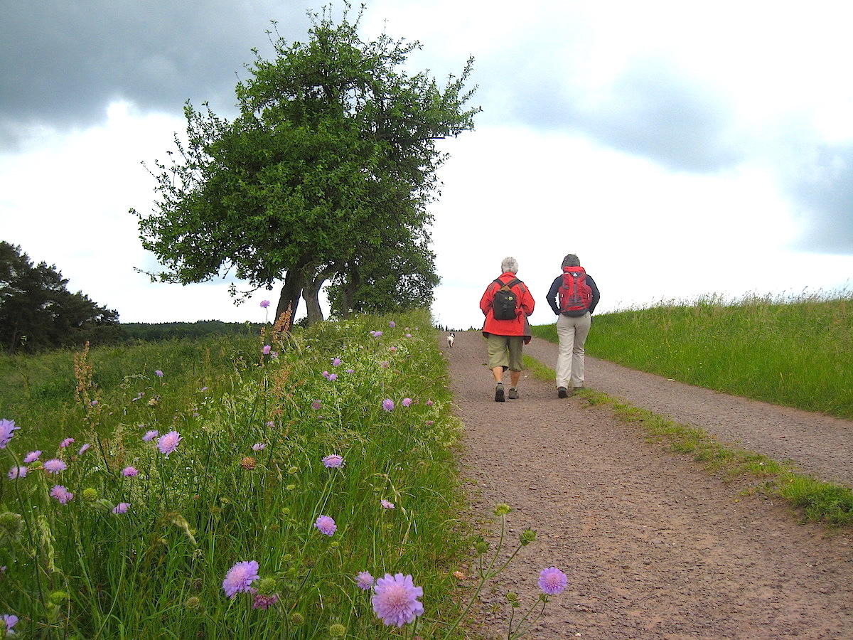Eifelsteig