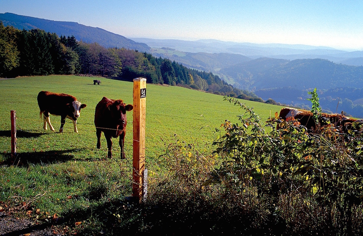 Ausblick vom Krutenberg