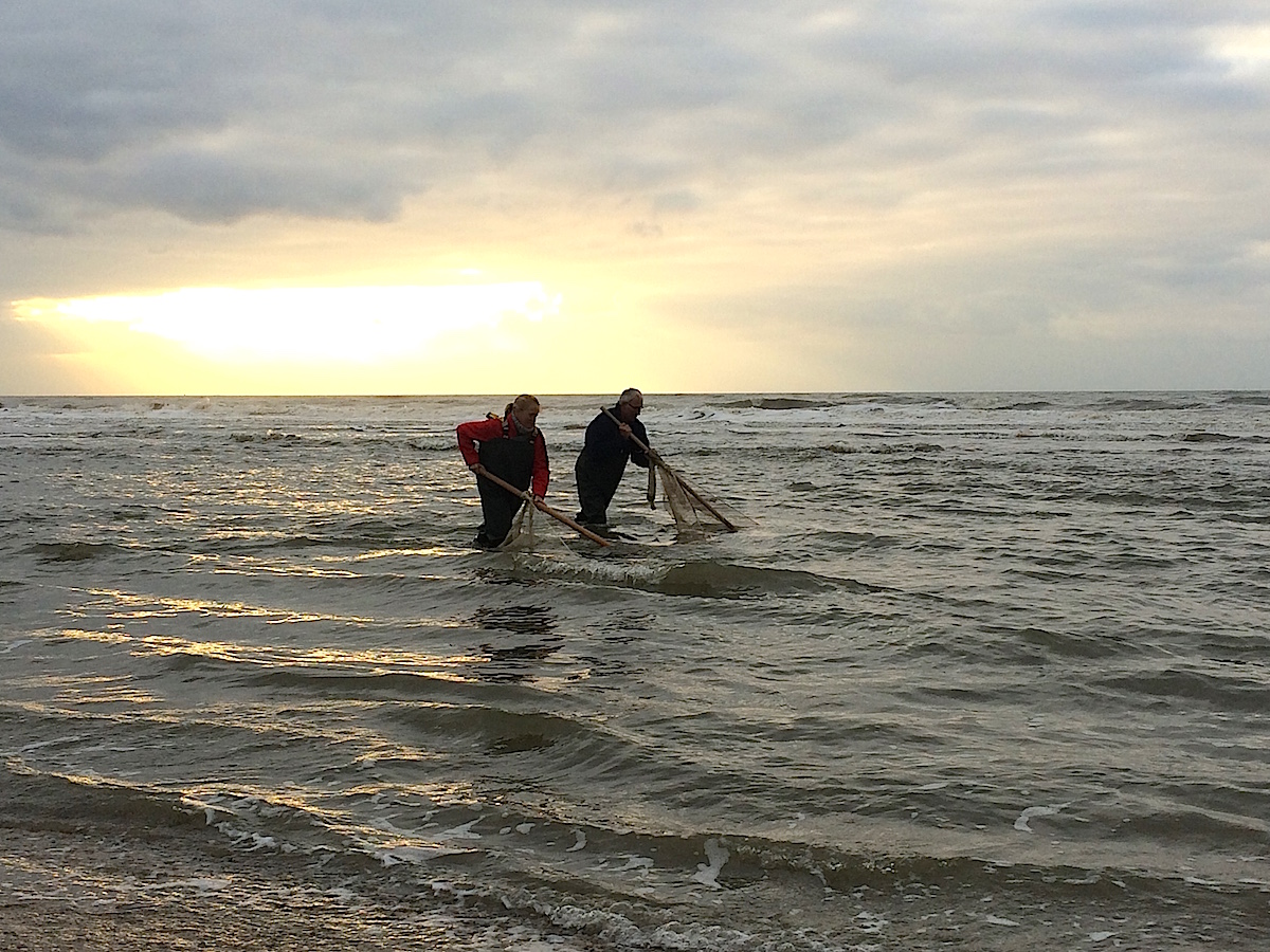 Krabbenfischer in Zandvoort