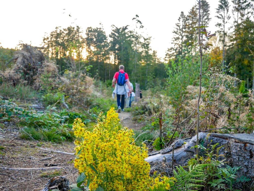 Einwalden, angeboten vom Sauerländer Gebirgsverein