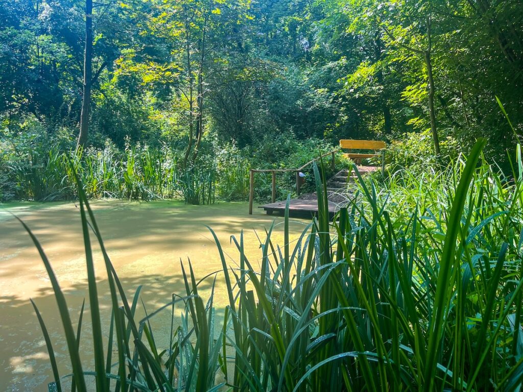 Idylle in Leverkusen - das Naturgut Ophoven