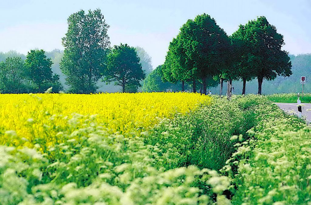 Friedensroute im Münsterland