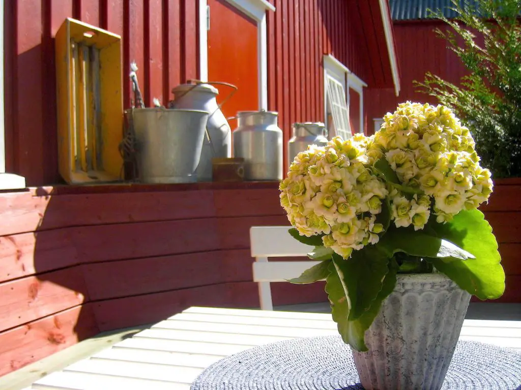 Das ländliche Norwegen zählt definitiv zu: 10 Orte, die man in Skandinavien gesehen haben muss