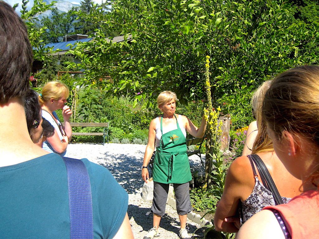 Der Hildegard-Garten in Reith - Garten Führung