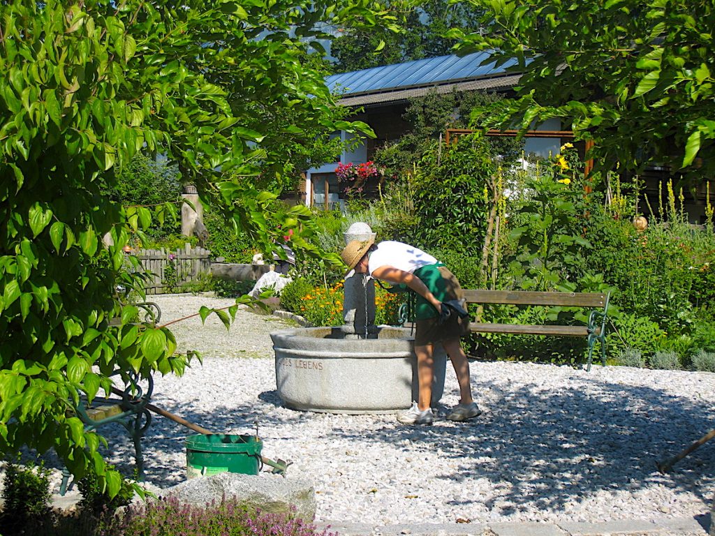 Der Hildegard-Garten in Reith 