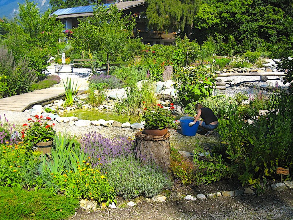 Der Hildegard-Garten in Reith dient der Gesundheit und der Erholung 