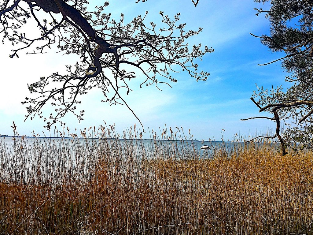 Natur-Rausch im Hinterland von Usedom