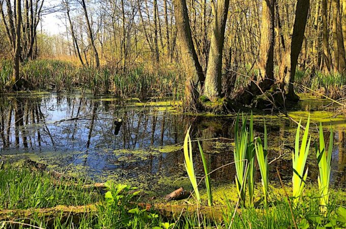 Entdeckungstour ins Hinterland von Usedom