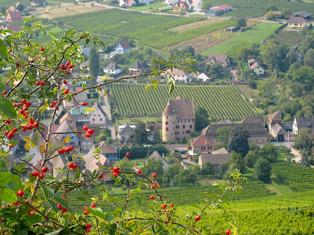Frankreich Geheimtipps: das Winzerdorf Soultzmatt