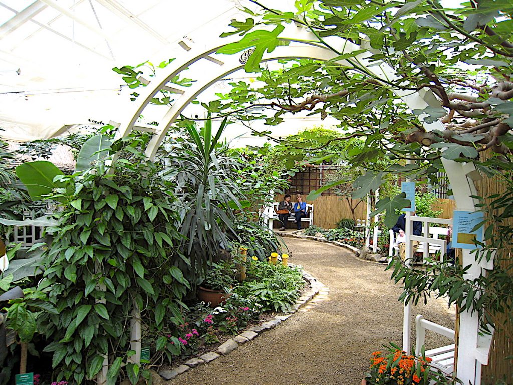 Der Garten Der Schmetterlinge Von Schloss Sayn Weltenkundler
