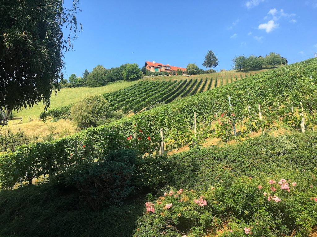 Winzerhöfe in der Steiermark - Geheimtipps Landlust in Österreich