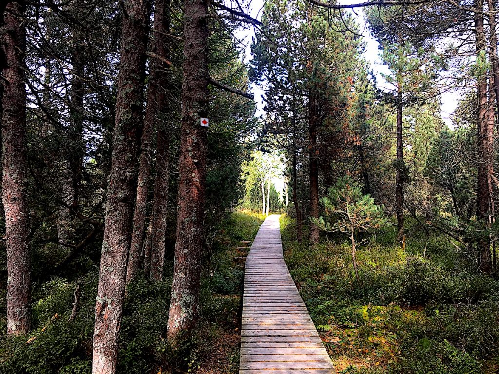 Genusswandern im Ferienland Schwarzwald