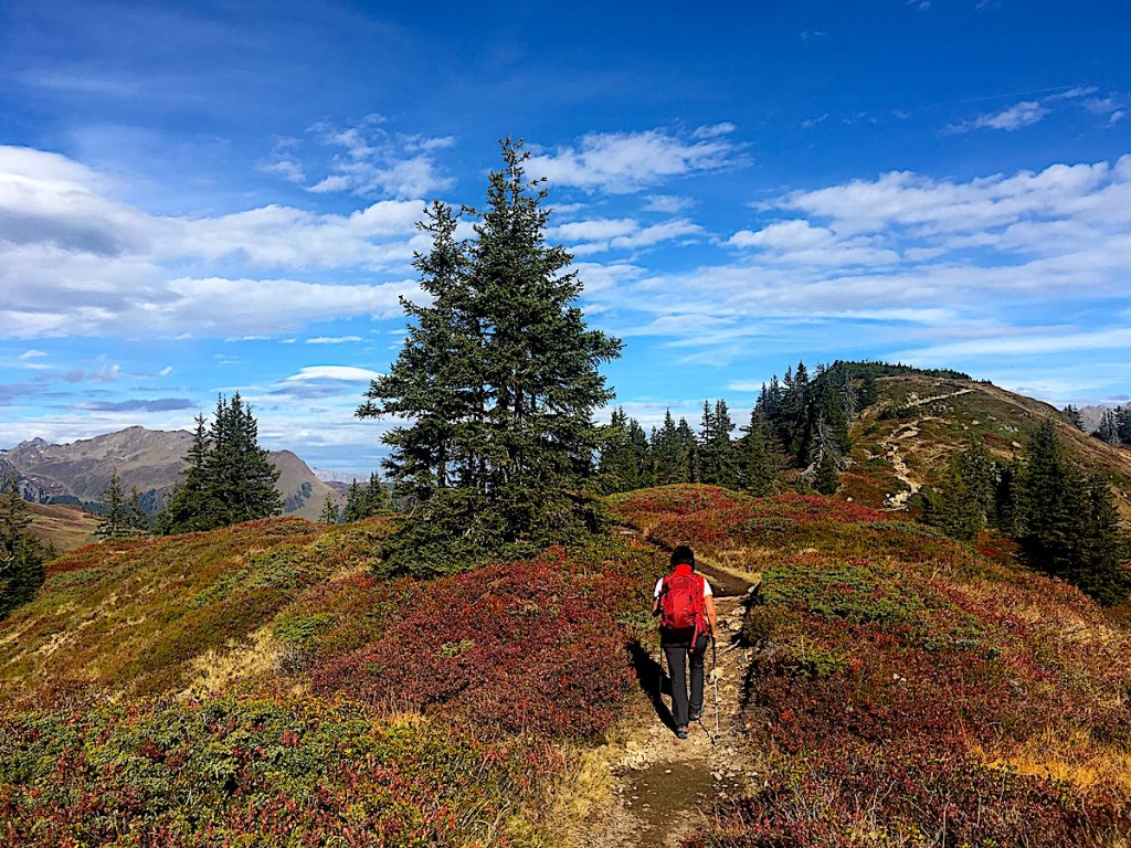 Indian Summer im Montafon Genusswandern