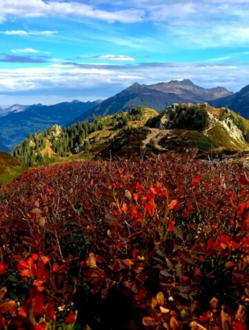 Indian Summer im Montafon