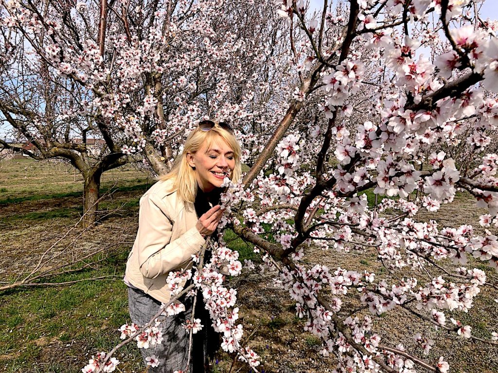 Reiseexpertin Antje Zimmermann genießt die Pfälzer Mandelblüte 