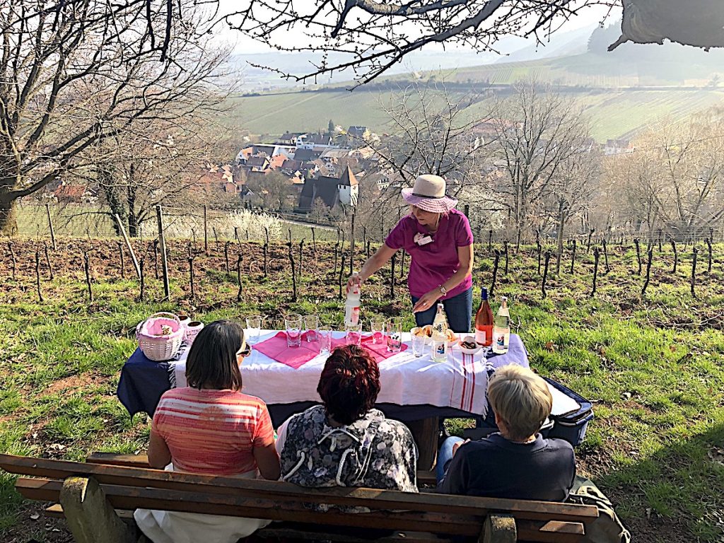 Mandelblütentour mit Gudrun Stübinger-Kohls zur Pfälzer Mandelblüte 