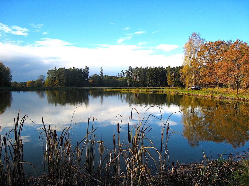 Idylle vor Dinkelsbühl