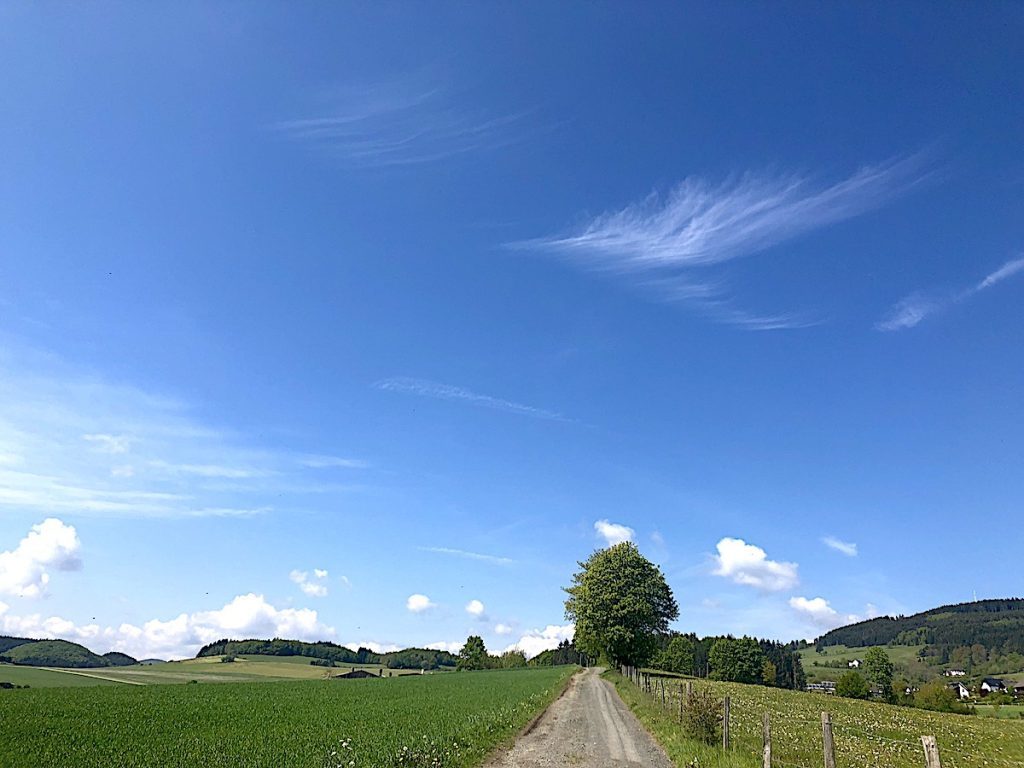 Wanderungen zu den schönsten Seelenorten im Sauerland 