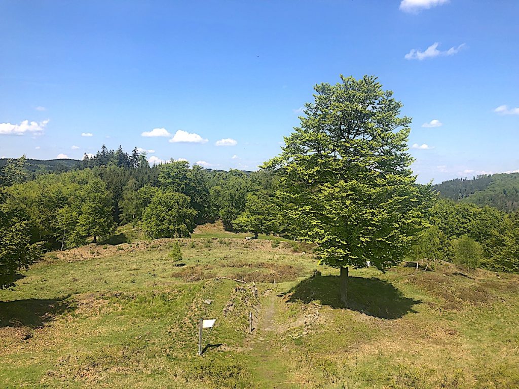 Sauerland - Wanderungen zur Schwallenburg 