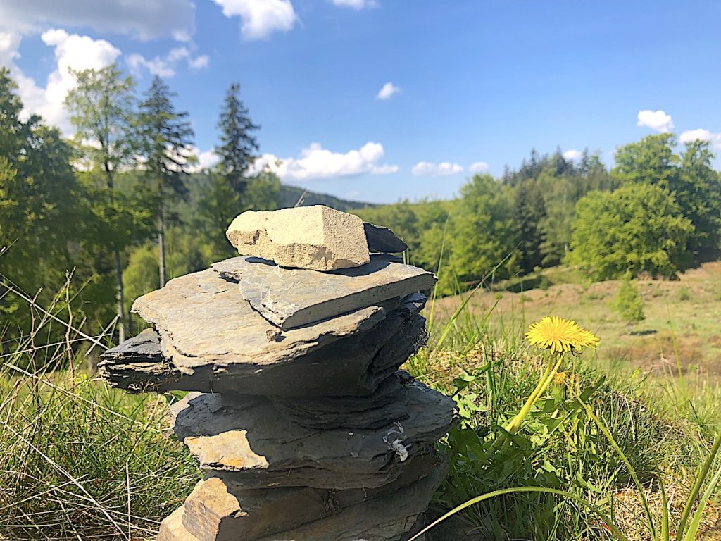 Sauerland - Wanderungen zur Schwallenburg 