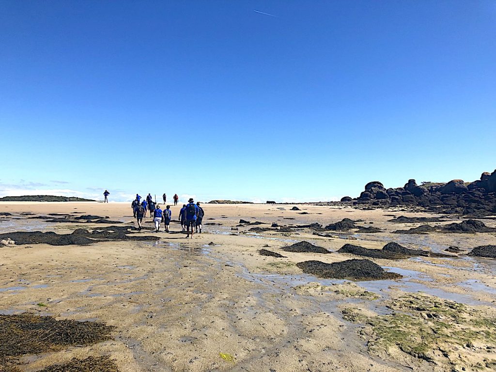 Wandern zwischen den Inseln auf Chausey