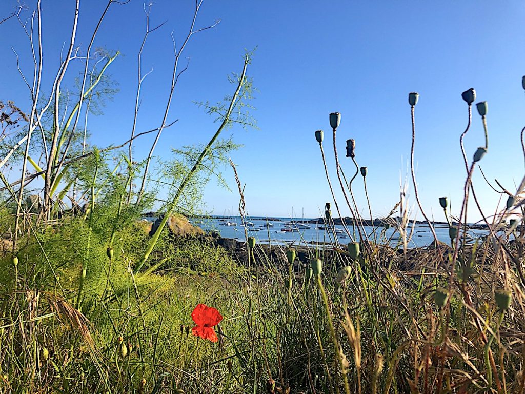 Postkartenidylle auf Chausey