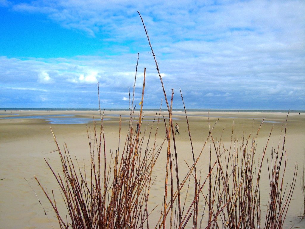 Die schönsten Zugreiseziele - Texel ist bequem mit der Bahn zu erreichen.