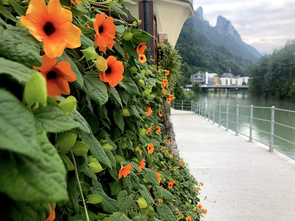 Die schönsten historischen Kleinstädte - Hallein an der Salzach